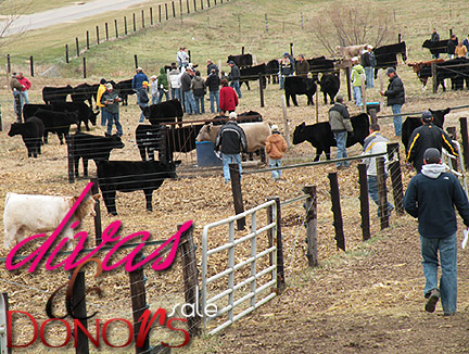 Divas & Donors II... Thanks for another great year!